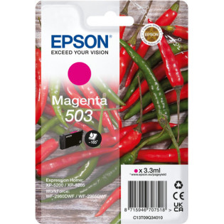 Epson 503 -mustekasetti, magenta