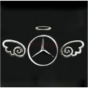 3D Autotarra Angel wings