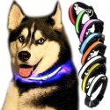 LED halsband till hunden