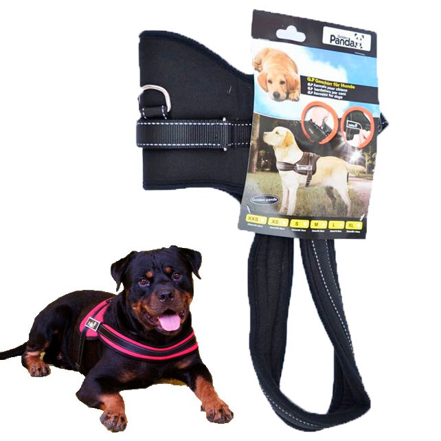 dog leash XS-XL