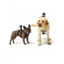 Action-kameran koiran valjaat
