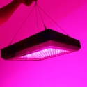 Solaris Agrolex -LED-växtlampa 150W