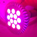 Solaris Persona 12W LED växtlampa E27