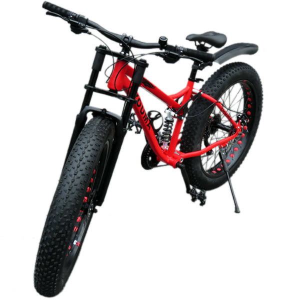 fatmax bike