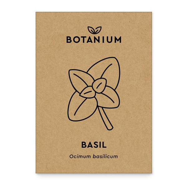 Botanium basilikafrön snabbväxande
