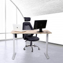 Relaffice - Höj och sänkbart skrivbord 120x60cm