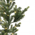 Enne Seasons Emerald Spruce grangirlang LED, 270 cm